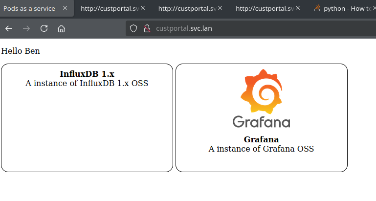 screenshot of first page in web portal